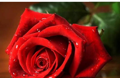 “三天”不愁,快乐一生